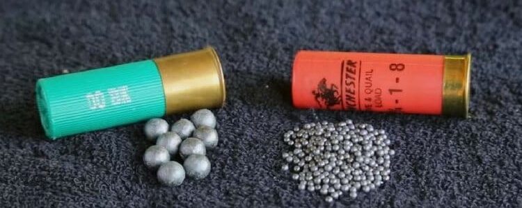 Shotgun Ammo For Home Defense | Buckshot vs Birdshot