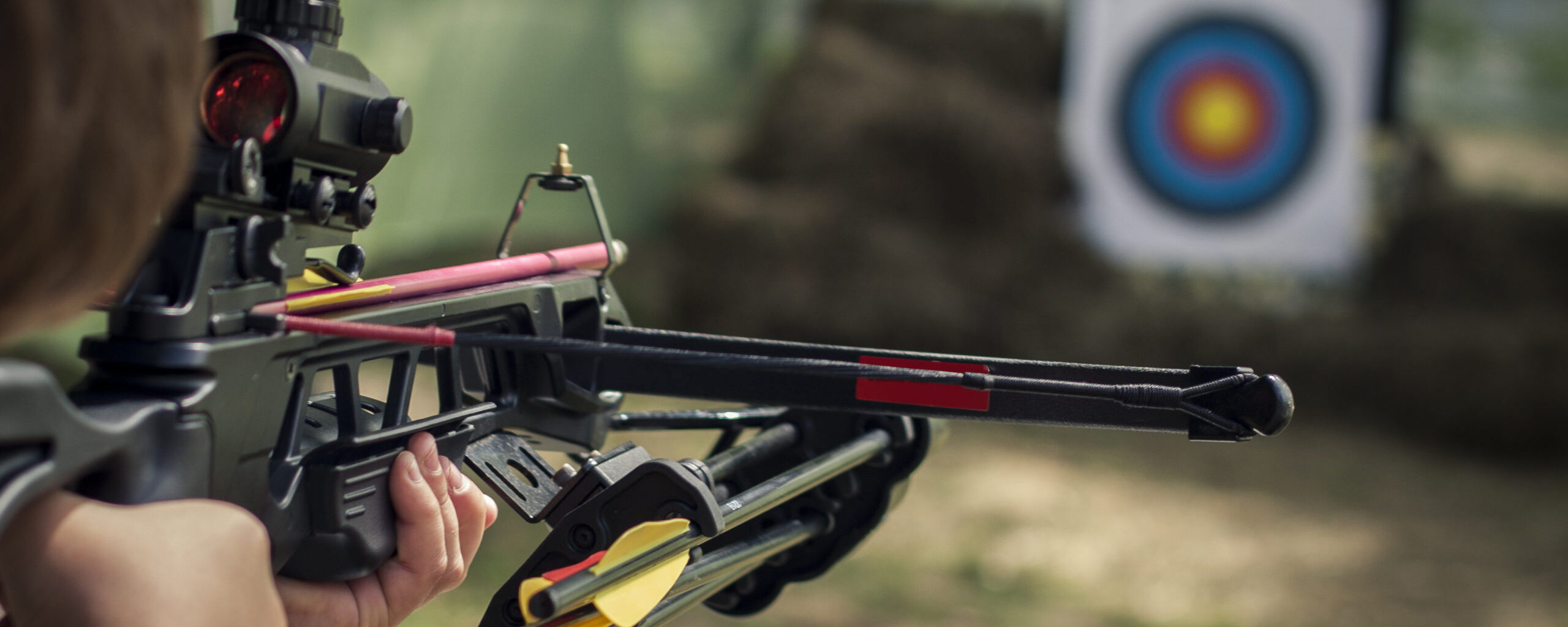 Crossbows: A Beginners Guide